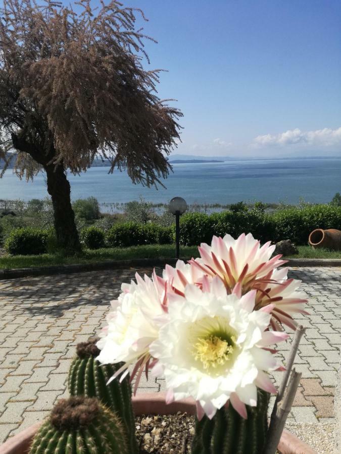 B&B Torre Del Lago Trasimeno Passignano sul Trasimeno Extérieur photo