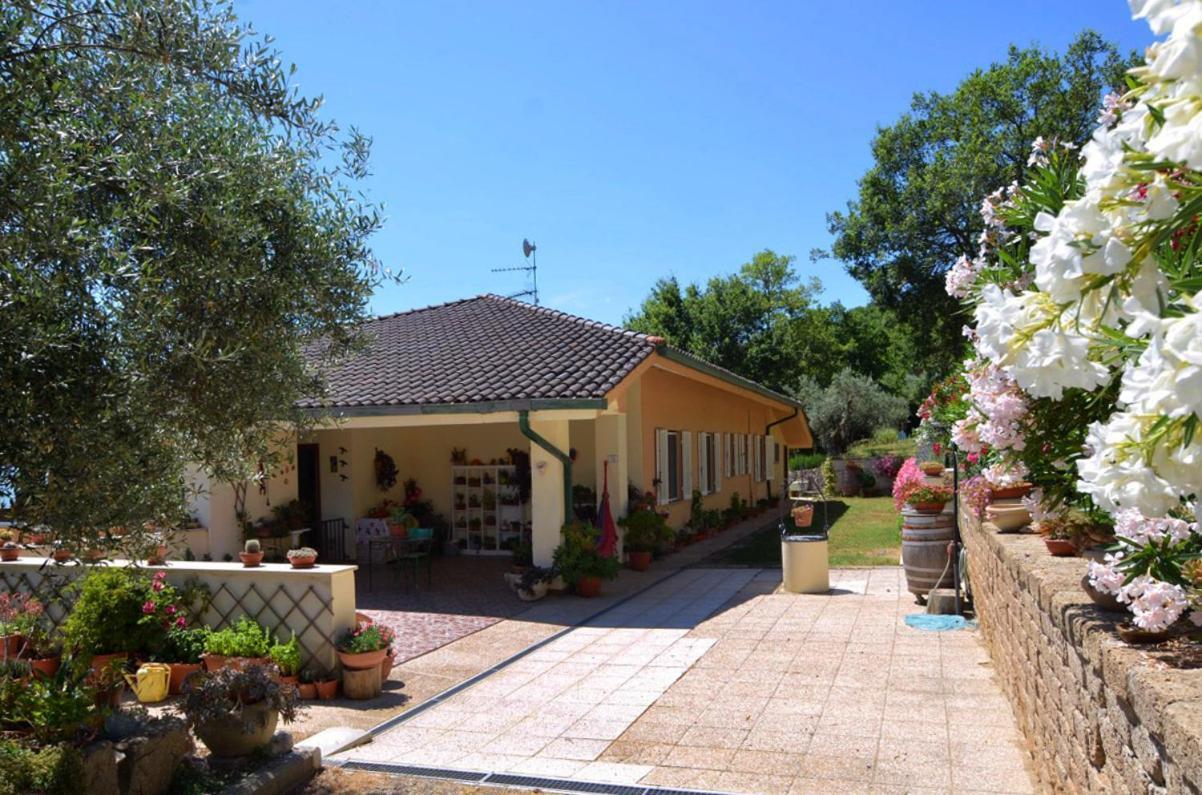 B&B Torre Del Lago Trasimeno Passignano sul Trasimeno Extérieur photo